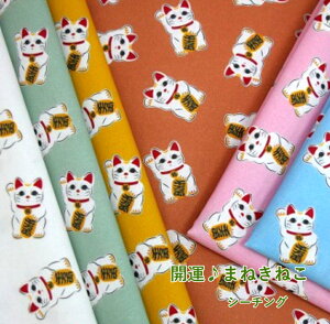 yV[`OzuJ^@܂˂˂v/n/z/ڂ//CeA/Rbg100/m/w/L/lR/nhCh/B//N/痼