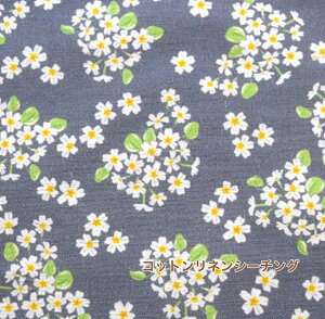 2023 V삨IځyRbglV[`OzuԂ̃u[`v/Ȗ/ z /w/ / / Jo[O ԕ/~U t[ fW^vg {^jJ ԕn Ԑn