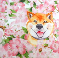 楽天市場】柴犬 柄の通販 