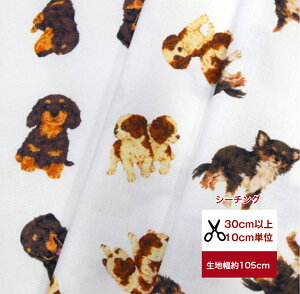 Vol.2@߂ȂeV[[Yubaby dog -2-v/` LoA ~j`A_bNX Rbg100 n z  V[`O fW^vg }XN xr[pi  