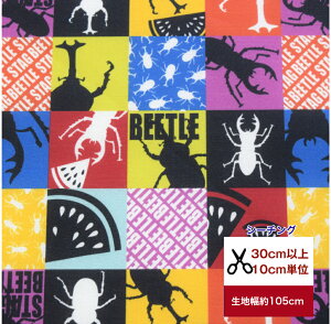 yV[`Ozuj̎q̓IJugNK^[pb`-vV[`O//XCJ/Rbg100 /n/ ///Jo[O/Gv/w/fW^vg/pb` nh