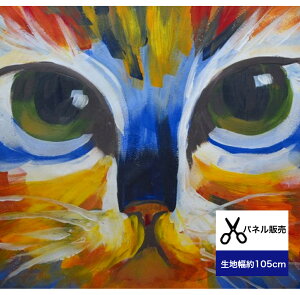 pl̔uoil painting catv G̔L Rbg100 n t@ubN{[h ^yXg[  fW^vg  G G/