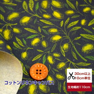RbglLoXulOlivevY Ȗ z /w/ / / Jo[O ԕ/I[u fW^vg k