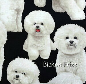 USAFABRIC TIMELESSTREASURES[Bichon Frize]/sWt[[/n/z///Ck/Rbg/An/USARbg