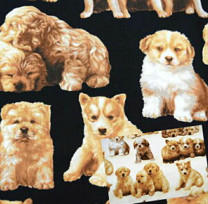 生地 布 犬 Usaコットンの人気商品 通販 価格比較 価格 Com