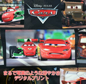 ܂Ŏʐ^̂悤ȑN₩BfW^vg@J[Y@/w/ʉ/obO/IbNXn/n/z/