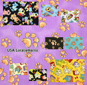 Harris[3fUC]@USARbg/n/z//L/An/L/lR/˂/CnX