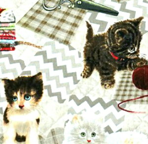 LDW܂IUSARbg@SPXt@ubN/qLƃnhCh/n/z//L/lR/˂/nhCh