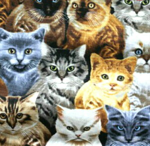 X[A/LDW܂IUSARbg@^CXgW[/AV[Y/L/L/lR/n/z/