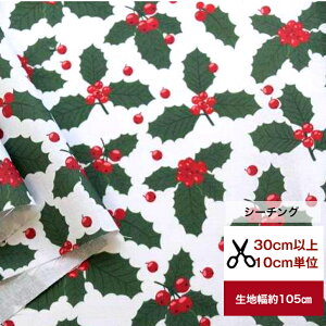 yV[`Oz qCM̎ Rbg100  z Xmas [t   Jo[O fW^vg NX}X Xmas  c[ [X qCM qCM̎ԕ