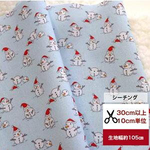 yV[`OzuT^p̐Ⴞ܁v Rbg100  z T^ Xmas Ⴞܕ   Jo[O fW^vg NX}X T^ Ⴞ Xm[} T^N