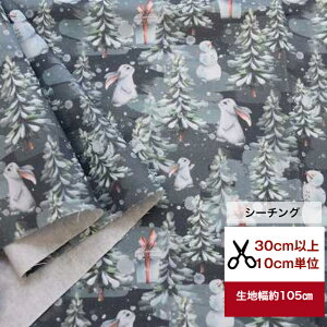 yV[`Oz uÂȐX̃v[gv Rbg100  z T^ Xmas Ⴞܕ   Jo[O fW^vg NX}X T^ Ⴞ Xm[} T^N