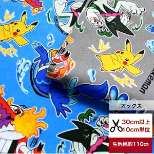 2023ŁyIbNXz|PbgX^[u|PSVv z n |Pvg w  Rbg obO |Pnj̎q sJ`E BD@SP Q[ nhCh Pokemon |PJ[