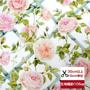 tsukushiuV[`Ovu[YEeBXv Rbg100 n z  [Y ΂ o KN q fW^vg [EFA  obO  |[` w Gv pc s