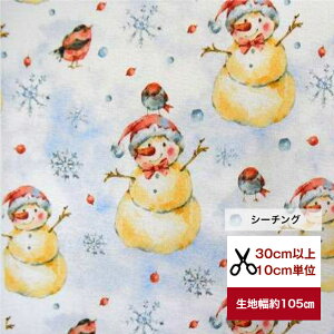 yV[`OzXm[}̂FBĂ Rbg100  z T^ Xmas Ⴞܕ   Jo[O fW^vg NX}X T^ Ⴞ Xm[} T