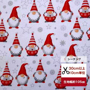 yV[`OzڂȃT^񂽂 Rbg100  z T^ Xmas Ⴞܕ   Jo[O fW^vg NX}X T^ Ⴞ Xm[} T^N