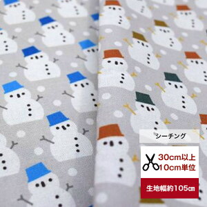 yV[`OzuJtXq̐Ⴞ܁v Rbg100  z T^ Xmas Ⴞܕ   Jo[O fW^vg NX}X T^ Ⴞ Xm[} T