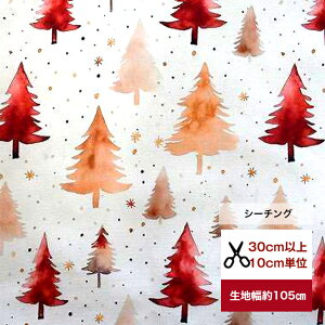 yV[`Oz Ԃ܂錶zc[ Rbg100/ /z T^ Xmas Ⴞܕ  //Jo[O/ fW^vg NX}X T^ Ⴞ Xm[} T^N