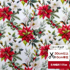 yV[`Oz@ul̃|CZ`Av Rbg100  z Xmas ԕ n NX}X   Jo[O fW^vg NX}X Xmas |Z`A qCM ϗtA