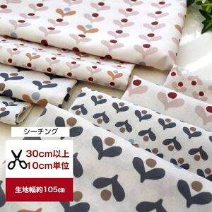 yV[`Oz@uWAKABA C_v Rbg100  z ԕ n   Jo[O fW^vg C _ sN OC