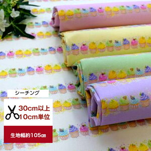 yV[`Oz@uv`t[?v Rbg100  z P[L XC[c ԕ n   Jo[O fW^vg w }XN 킢  nhCh@s[