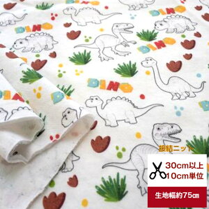 ӂ`_炩 ڌjbgo uƈꏏɗV΂ȁ`Hv n     Jo[O xr[ w fW^vg nhCh TbNX