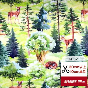 tsukushiy[z uor̂Xv n z    CeA Rbg100 m w s[X XJ[g Y{   tHXg X O[ R i