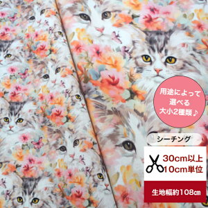 tsukushiyV[`Oz Luxuriousurrbgt[ƔLv n z ԕ L ˂  CeA Rbg100 m w t[ flower rrbgJ[ ԕ
