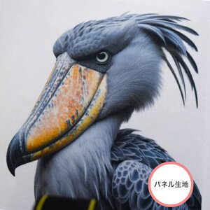 yplnz ujOȃnVrREv V[`O Rbg100 n z  nhCh obO ^yXg[ t@ubN{[h  nVrRE  fW^vg Ȃ