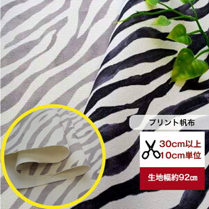 tsukushiy8vgzz uȃ[uʉ敗v n z  ܂ܕ [u Aj}  CeA Rbg100  z ZEBRA g[gobO TRbV В z