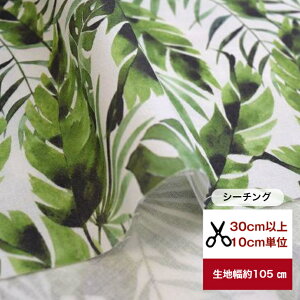 tsukushivuV[`Ov ϗtA A O[  Rbg100 n z  fW^vg [EFA  s[X Y{ Gv Jo[O obO green