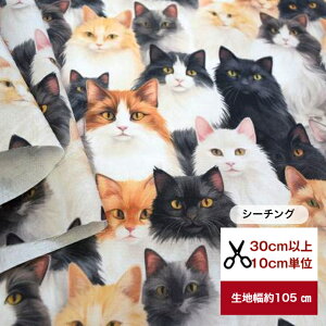 tsukushiuV[`Ovu̎Lv L  cat Rbg100 n z  fW^vg [EFA  s[X Y{ Gv Jo[O obO w