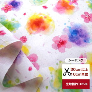 tsukushiuV[`OvuFA[ǧzv ԕ   C{[ Rbg100 n z  fW^vg [EFA  s[X Y{ Gv Jo[O obO 