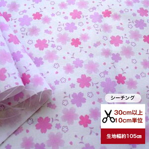 tsukushiuV[`OvutɕUv ԕ   sakura TN Rbg100 n z  fW^vg [EFA  s[X Y{ Gv Jo[O obO 