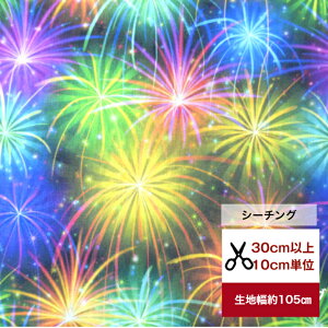 tsukushivuV[`Ov HANABI @ԉ Rbg100 n z  fW^vg [EFA  s[X Y{ Gv Jo[O obO