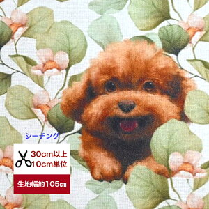 tsukushivuV[`Ov v[hƃ[J Rbg100 n z  Gribaness world   dog e fW^vg [EFA  s[X Y{ Gv Jo[O obO