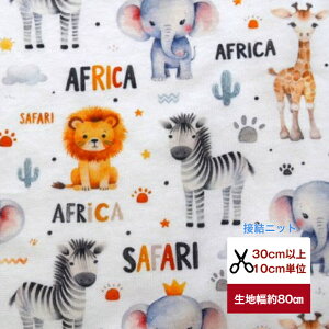 tsukushivӂ~_炩uڌjbgv Africa Animals jbg Rbg100 n z  fW^vg [EFA  s[X Y{ Gv Jo[O obO 앞 p xr