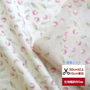 tsukushivӂ~_炩uڌjbgv ؂̎ jbg Rbg100 n z  ԕ fW^vg [EFA  s[X Y{ Gv Jo[O obO 앞 