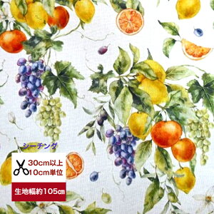 tsukushi uV[`Ov artstic fruit painting |pIȃt[c Rbg100% n    w fW^vg ʐ^ ʕ t[c uhE  IW gsJ Lb`