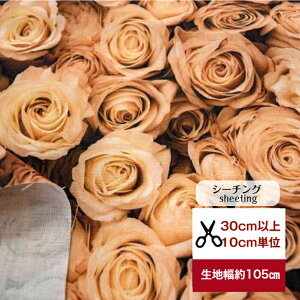 tsukushi 「シーチング」「思い出のセピアローズ」 コットン100% 生地 布 綿 花柄 薔薇 ばら バラ デジタルプリント 服 カバン 小物 ワンピース 内布 カバーリング カーテン セピア 思い出