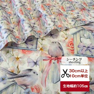 tsukushi V[`O u[YK[f̃V}GiKv Rbg100 n ԕ  V}GiK o    w fW^vg nhCh t[ s[X Jgl[W