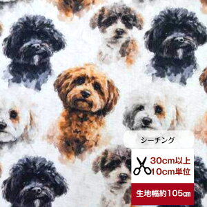 tsukushi uV[`Ovuface gCv[hv Rbg100 n z   gCv[h fW^vg  Jo  s[X z Jo[O J[e  }v[ V[v[