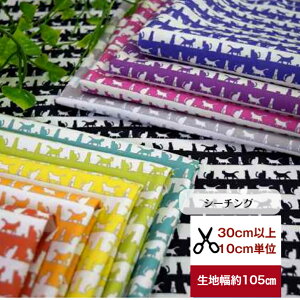 tsukushi uV[`OvuL̒VGbgv Rbg100 n z  L {[_[ fW^vg  Jo  s[X z Jo[O J[e cat ˂