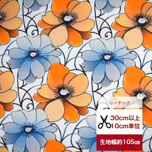 tsukushi uV[`OvuIWƃu[̃gCCgK[fv Rbg100 n z  ԕ 啿 fW^vg  Jo  s[X z Jo[O J[e IW 