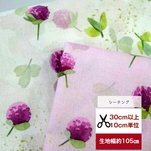 tsukushiuV[`OvuȃTLcNTv Rbg100 n z  ԕ fW^vg [EFA  obO  w r  nCrXJX