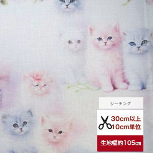 tsukushiuV[`OvuԂ̎qL?v Rbg100 n z  L ԕ fW^vg [EFA  obO  w flower o rose dream sN u[