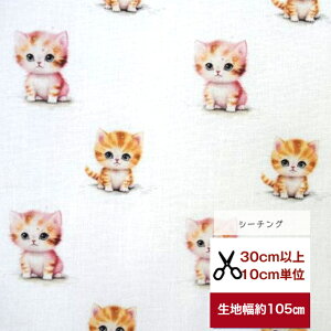 tsukushiuV[`OvujRv Rbg100 n z  L fW^vg [EFA  obO  w cat Lbg