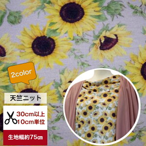 tsukushivyVjbgz uĜ悤ɔЂ܂v jbg Rbg100 n z  ԕ Ђ܂  fW^vg [EFA  s[X Y{ Jo[O obO 