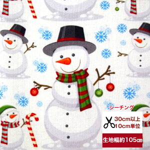 tsukushiuV[`Ovunbg̃Xm[}v Rbg100 n z  ~ NX}X fW^vg [EFA  obO  Ⴞ  snow V11