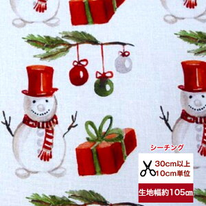 tsukushiuV[`OvuXm[}̃v[gv Rbg100 n z  ~ NX}X fW^vg [EFA  obO  q l Ⴞ s[X V11